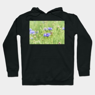 Little Honey Bee and Blue Cornflowers Hoodie